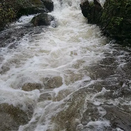 Lägenhet O Relax Do Rio